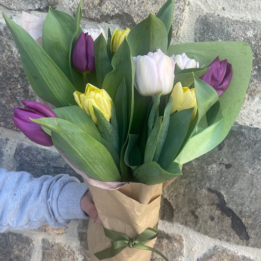 Easter Tulips, Cookies & Donko Shiitakes