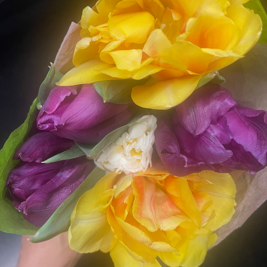 Sharing Springtime Happiness