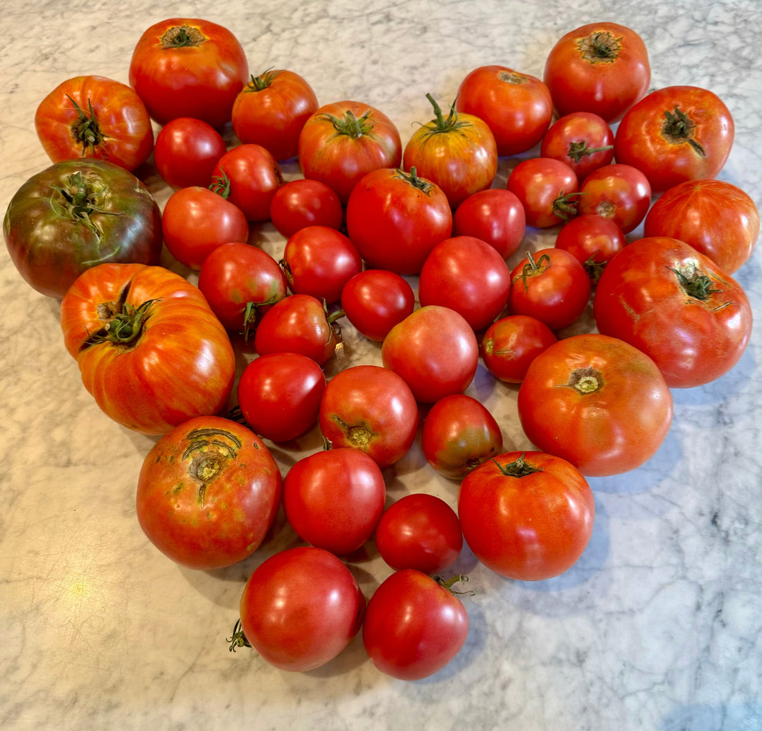 The growing season begins long before that first tomato sandwich