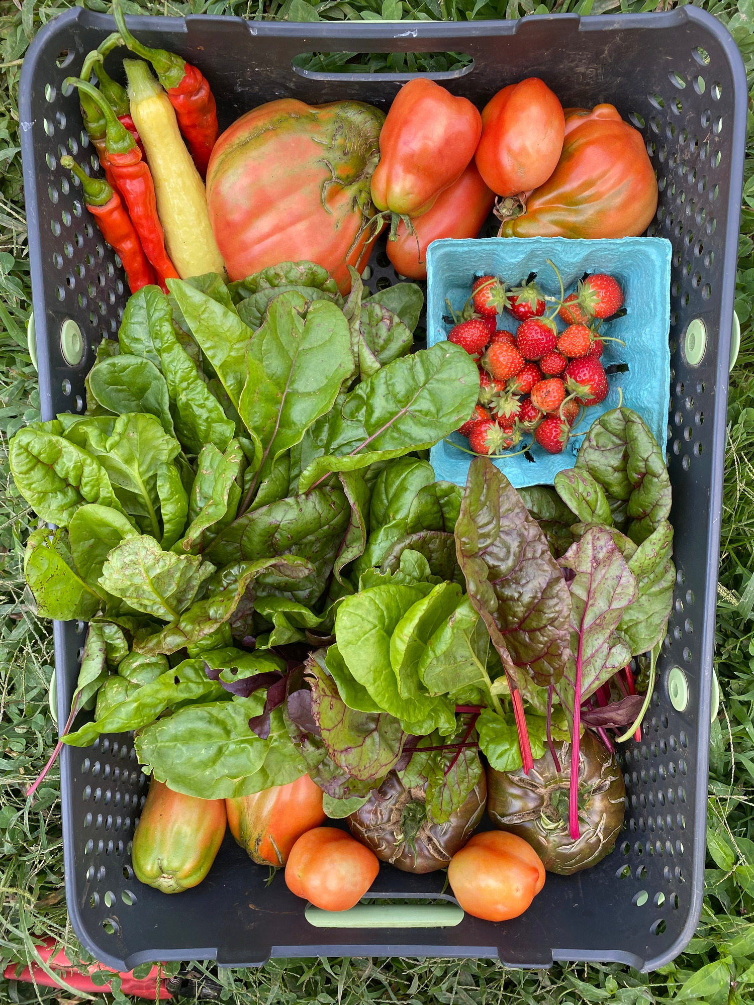 Fruits & Vegetables