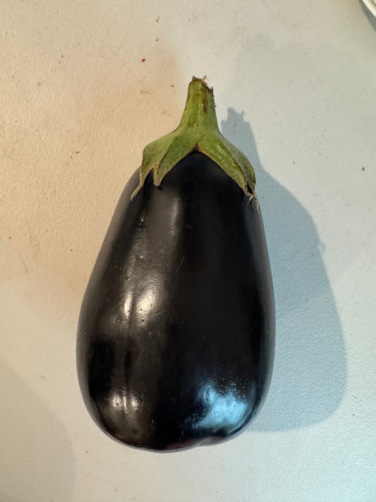 Eggplant Thaos Classic
