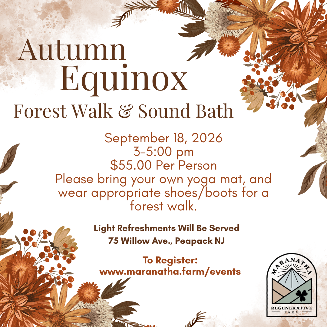 Autumn Equinox Forest Walk & Sound Bath