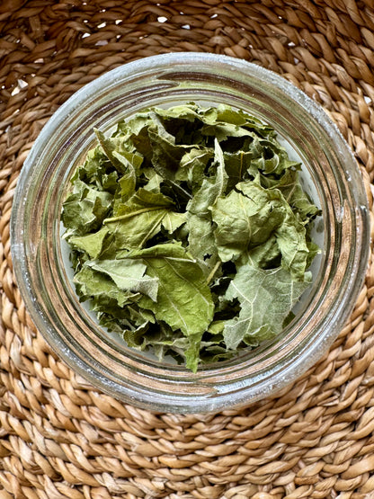 Single Leaf Fig Tea-9 oz