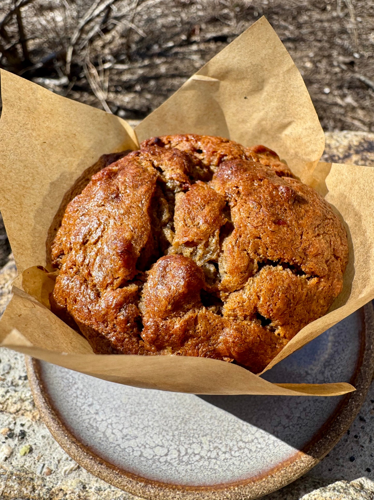 Gluten Free Flourless Peanut Butter Pecan Banana Muffin