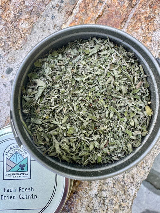Catnip- Pure Dried