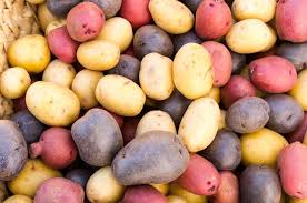 New Potatoes- Red, White and Blue Mix