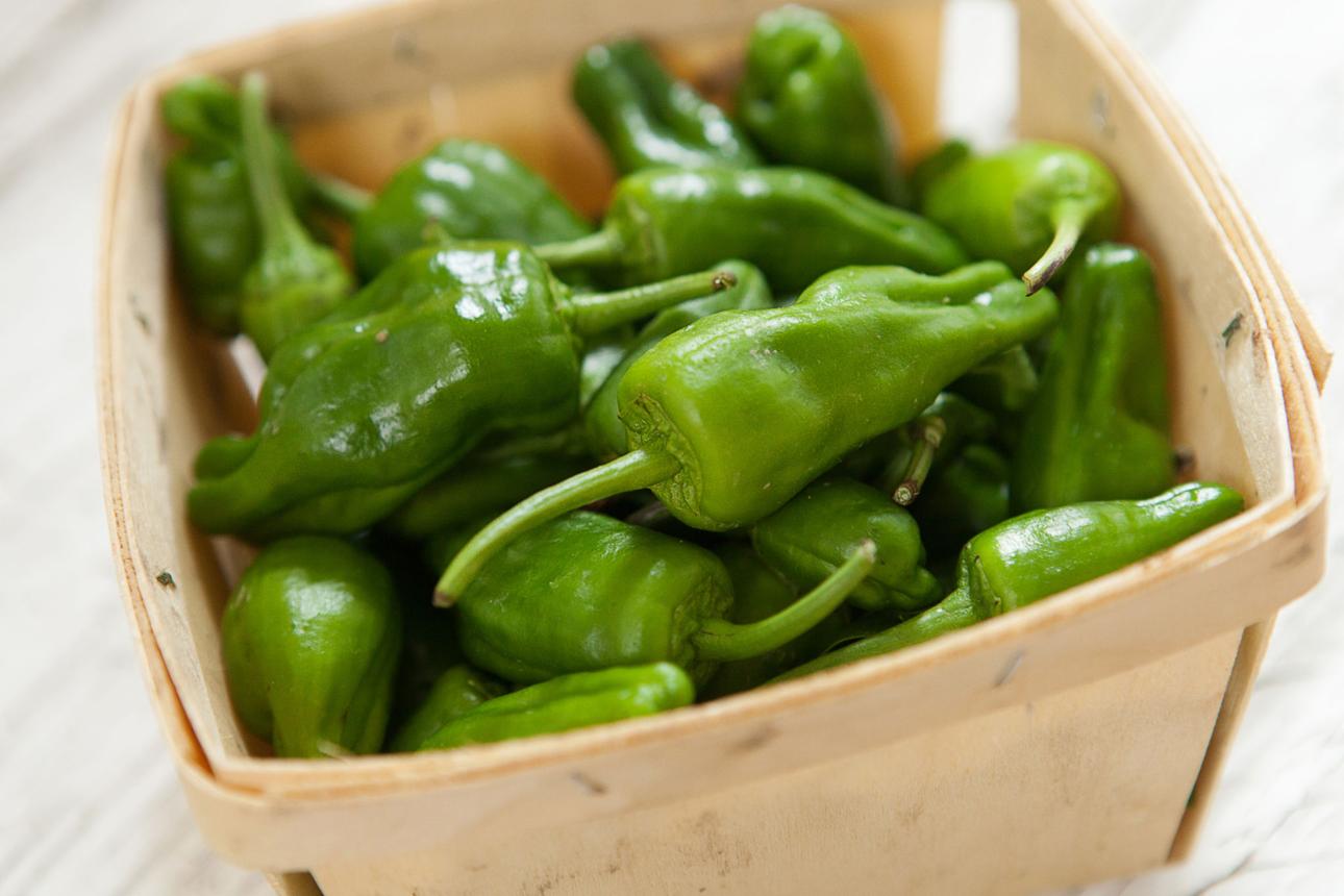 Shishito Pepper