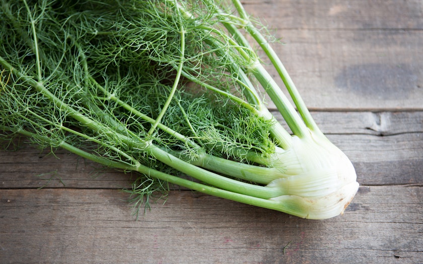 Baby Fennel Bulb